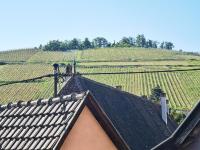 ✪ Le Convivial ✪ Duplex Alsacien ✪ PARKING ✪ RBNB✪ - Ferienwohnung Turckheim