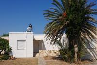 Villa Trypitos - Bed and Breakfast