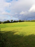 Retro Mobile glamping - Near Dartmoor walks - B&B