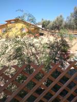 Posada Soleil Bed & Breakfast - Ferienwohnung Valle de Guadalupe