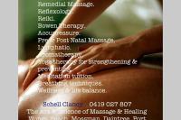 Daintree Beach Studio - BEACH FRONT ACCOMMODATION - B&B Wonga