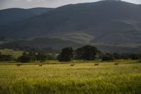Caracal Lodge - Chambres d’hôtes Alkmaar