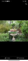 Petit coin de Paradis - B&B