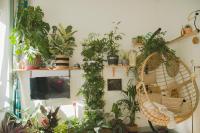 La Kanopée - Les Loges Normandes - B&B Cherbourg