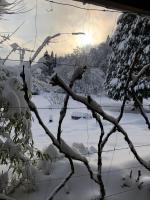 Haus mit 1 Schlafzimmer