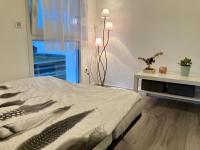 Appartement Muse proche Gare - B&B Metz