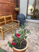 Olive Branch Cottage off grid - Bed and Breakfast
