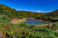 Casa das Flores - B&B Lamego
