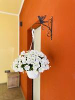 Il giardino di Iole Via Giovanni Amendola n36 - Chambres d’hôtes Sassari