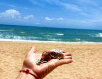 Grand Florida Resort Pattaya - B&B Ban Na Chom Thian