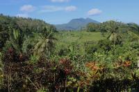 Habitación Doble Superior