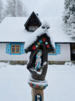 Bieszczadzka Samotnia - B&B Cisna