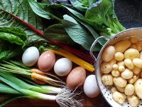 Welshhomestead - B&B Tregaron