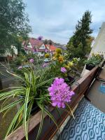 Debreceni Egyetem Nagyerdei Rosehill 1 Apartman Greatforest Rosehill 1 Apartman Free Parking - Chambres d'hôtes Debrecen