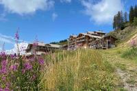Vue panoramique sur les montagnes plein Sud - T2 Skis aux pieds, Piscine & Spa - Chambres d'hôtes Flaine