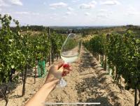 Cozy rooms in wine town - Modra - B&B Modra
