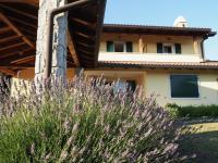 B&B Sistiana - Casa vacanze Lepa Vida - Bed and Breakfast Sistiana