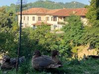 Come una volta farm - B&B