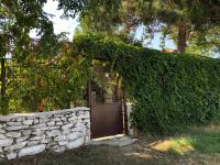 Grauri si Smochini - B&B Vadu