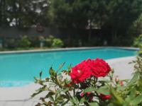 Lamon Guesthouse - Bed and Breakfast Kroonstad