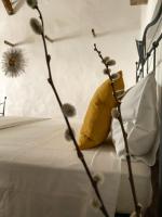 B&B Solarussa - Is Scabas Guestrooms - Bed and Breakfast Solarussa