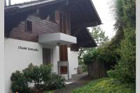Panoramic Lake Thun & Alps View Apartment near Interlaken - B&B Sigriswil