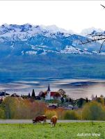Panoramic Lake Thun & Alps View Apartment near Interlaken - Chambres d’hôtes Sigriswil