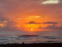 Hospedaje Casa THIREMA Tortuguero - Chambres d'hôtes Tortuguero