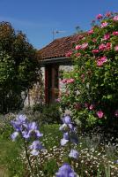 The Potting Shed, self contained, detached retreat in Shapwick village - B&B