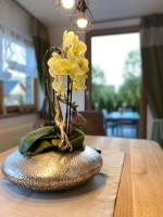 Chalet Auszeit - B&B Mariapfarr