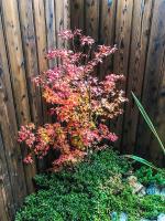 INN Plus Toji Kindo - Chambres d’hôtes Kyōto