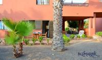 Tamarindo Blumarine - pool & wifi free 4 persons - Chambres d’hôtes Corralejo