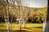 Casa Rural Santa Maria Regla - B&B Huasca de Ocampo