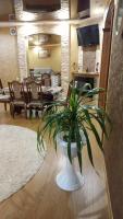 B&B Mykolayiv - Lux apartment City Center - Bed and Breakfast Mykolayiv