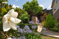 B&B Millfield - Eco Garden Retreat - Bed and Breakfast Millfield