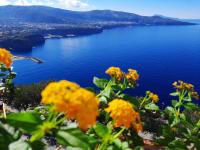 Bella Vista House-Sorrento coast - free parking-solarium - B&B Vico Equense