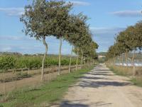 Porta dei Mari - B&B Ispica