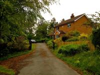 Llys y Coed - Bed and Breakfast