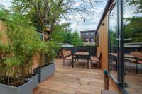 Iguana - Das Tiny Haus am Reptilienzoo Reptilium - B&B Landau in der Pfalz