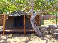 Standard Tent