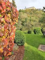 Ferienwohnung Königsquellenpark - Chambres d’hôtes Bad Wildungen