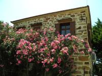 Clio apartments - B&B Kambos