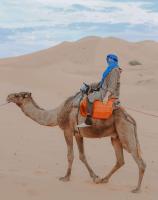 Desert Camel Trek - Ferienwohnung Merzouga