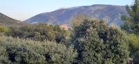 Le Ventoux - Ferienwohnung
