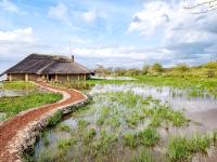 Africa Safari Lake Manyara located inside a wildlife park