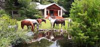 B&B Hogsback - Timeless - Bed and Breakfast Hogsback