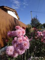 NestG Guest House - B&B