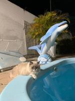 Casa de Praia - Francês/Marechal Deodoro - B&B Marechal Deodoro