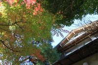 Atami Roji Kaede -熱海 路地楓- 温泉付 ペット可 - Ferienwohnung Atami