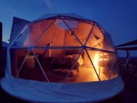 The Kosmic Tortoise - B&B Twentynine Palms
